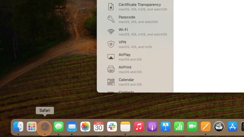 Screenshot showing the Safari icon on the desktop.