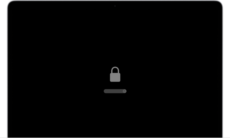 Firmware (EFI) Lock screen that appears before a device boots to the recovery partition.